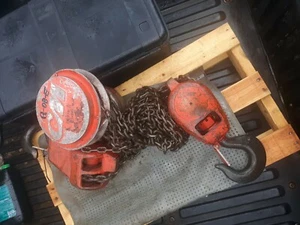 CM SERIES 646 8 TON CHAIN HOIST - Picture 1 of 5