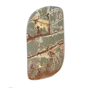 DVH Sonora Dendritic Jasper Matte Freeform Cabochon 50x25x7 (8518) - Picture 1 of 3