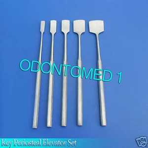 5 Pcs Key Periosteal Elevator 7" Set  Surgical Tools - Picture 1 of 3