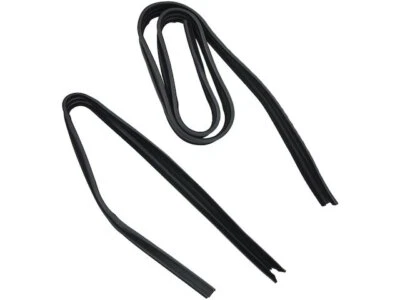 For 1975-1980 Dodge B300 Door Window Glass Run Channel 84693TBDP 1976 1977 1978 - Image 1 of 2