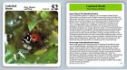 Ladybird Beetle #33 Pests... - My Green Gardens 1987 Cardmark Card
