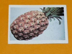 CHROMO 1960-1970 ECOLE BON-POINT IMAGE VOLUMETRIX ANANAS FRUITS - Imagen 1 de 2