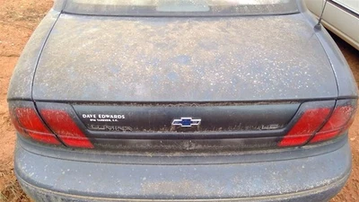 Maletero/portón trasero para coche Lumina 95-01 249727 Foto 1 de 4