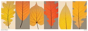 ART PRINT Leaves Steven N Meyers - Picture 1 of 1