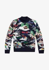 Polo Ralph Lauren Boys Ski Print Sweatshirt Sweater Size XL 16 Navy 313877925001 - Picture 1 of 4