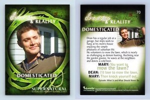 Domesticated #70 Supernatural Season 2 Inkworks 2007 Trading Card