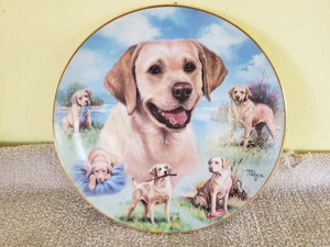 For the Love of Labs Plate Bradford Exchange Picken Limited Edition G26 B1 - Picture 1 of 3