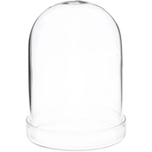 Cúpula de exhibición de vidrio Plymor de 3" x 4" (base de bandeja de vidrio transparente) - Imagen 1 de 1
