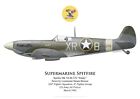 Print Spitfire Mk V, Lt Duane Beeson, 4th Fighter Group USAAF (by G. Marie)