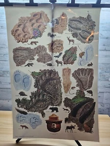 VTG SMOKEY THE BEAR USDA FOREST SERVICE "IMPRESSIONS" EDUCATIONAL POSTER - Picture 1 of 7