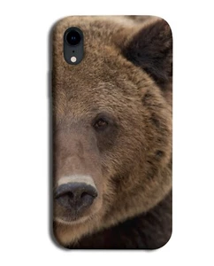 Grizzly Bear Phone Case Cover Bears Picture Photo Photograph Brown Face L034 - Picture 1 of 1