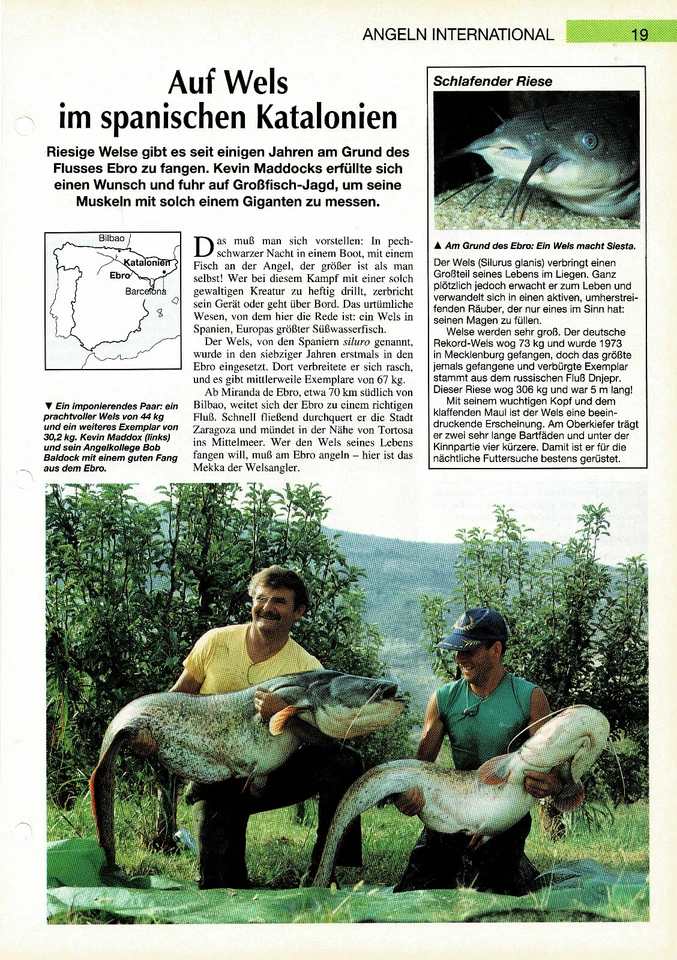 Kevin Maddocks - On Catfish In Spanish Catalonia Info Card - Image 1 of 1
