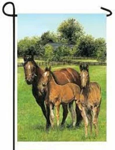 Horses Foal, Family Pasture, Garden Flag 12"x18" Custom Decor 2 Sided, Free Ship - Picture 1 of 1