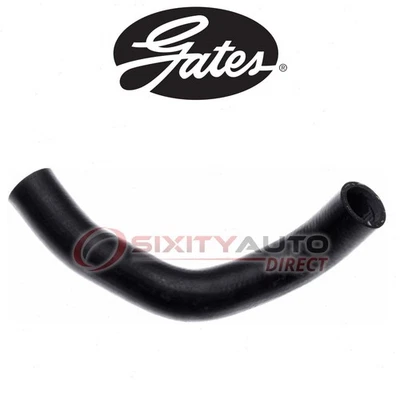 Gates Lower Radiator Coolant Hose for 2009-2010 Pontiac Vibe 2.4L L4 - zw - Изображение 1 из 4