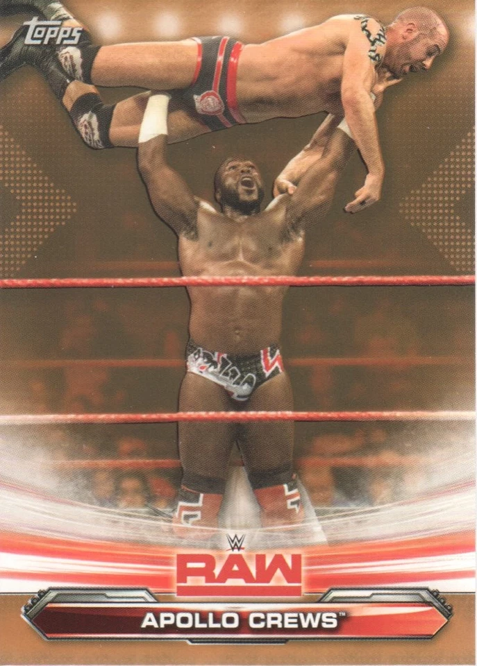 2019 Topps WWE RAW Bronze Parallel Wrestling Cards Pick from List - Image 1 of 1