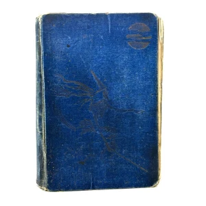 LANG, Andrew "The Blue Fairy Book" [Longmans Green & Co, 1889] 1st Edition - Bild 1 von 5