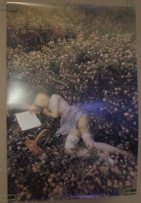 Dreaming Girl Sleeping Grass Original Vintage Poster Pin-up Tony Stone 1981 - Image 1 of 4