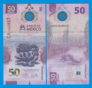 2023 ! Mexico 50 Pesos, P 130Ac UNC New date 2023 Polymer ( P 130 A c ) - Picture 1 of 1