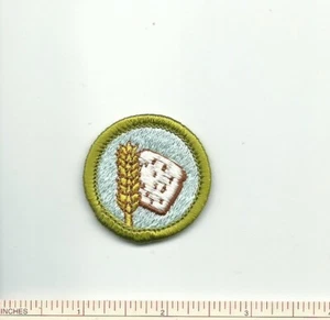 EF SCOUT BSA FOOD SYSTEMS MERIT BADGE TYPE H PLASTIC BACK INSIGNIA PATCH MB !!!! - Picture 1 of 1