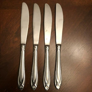 4 Cuchillos de Cena Hampton Plateros ENCAJE ESMERILADO Acero Inoxidable 9" - Imagen 1 de 3