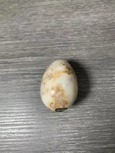 2” Mineral Egg - Picture 1 of 3