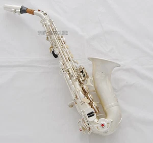 Professional new TaiShan Curved Soprano Saxophone Satin Silver Sax Italian pads - Picture 1 of 8