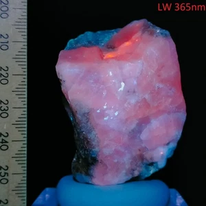 Sodalite Phlogopite Winchite Uranyl fluorescent LW & SW mineral specimen 336ct - Bild 1 von 9
