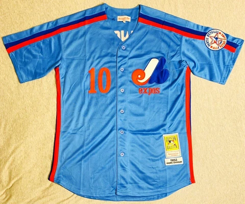 1982 Andre Dawson Montreal Expos Light Blue Jersey Size Men's Large Cover