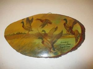 Lake of the Ozarks Souvenir Wandbehang Phantom Acres, Bagnell Dam Stockente Ente - Bild 1 von 2