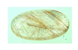 Piedra preciosa cabujón natural brasileño rutilada BUTW 4816P - Imagen 1 de 3