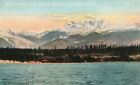 Vintage Postcard Mount Constance & Olympic Mountains Washington By Ed. Mitchell