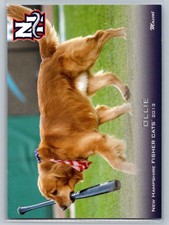 Ollie Grandstand 2013 NNO New Hampshire Fisher Cats Bat Dog