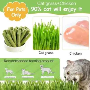 [Natural Cat Grass] Natural 100g Cat Grass Teething Stick For Cat - Edible Cat C - Picture 1 of 3