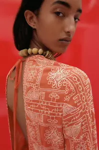 ZARA EMBROIDERED DRESS Sz M Burnt orange 💕 BNWT ref 4786/089 - Picture 1 of 11
