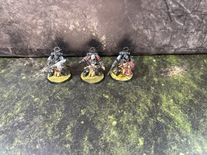 Warhammer 40k Black Templars Bladeguard Veterans Painted 3x (#559) - Picture 1 of 10