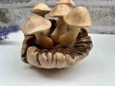 Wooden Mushroom Toadstool Sculpture Teak Root Hand Carved Driftwood Ornament - Image 1 of 4