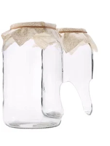 1790 Jars Pack of 2 (1 Gallon Glass Jars with BPA-Free Lids) Made in USA Jar - Picture 1 of 10