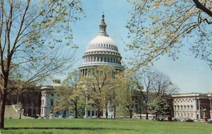 Vintage Washington DC US Capitol Bldg in Spring Postcard - Picture 1 of 2