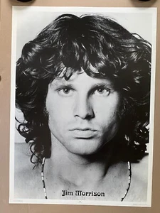 Jim Morrison Mugshot Vintage Poster The Doors Black And White Music  Art Posters - Picture 1 of 6