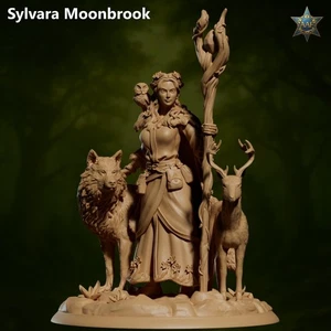 Dungeons & Dragons Playable Character - Female Human - Druid, Ranger - Picture 1 of 1
