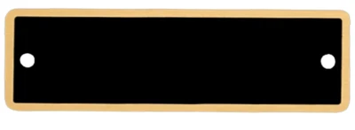 SPEEDY AWARDS BRASS PLATE ART LABEL PICTURE FRAME TAG 1" x 3.25" BLANK UNENGRAVED W/SCREWS