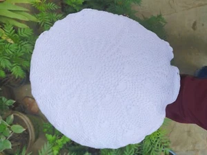 2 Crochet Cushion Cover 16 inch Round White Colored - Picture 1 of 3