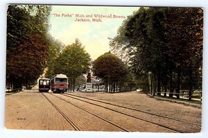 Jackson Michigan The Forks Wildwood Streets vintage Postcard D256 - Imagen 1 de 2