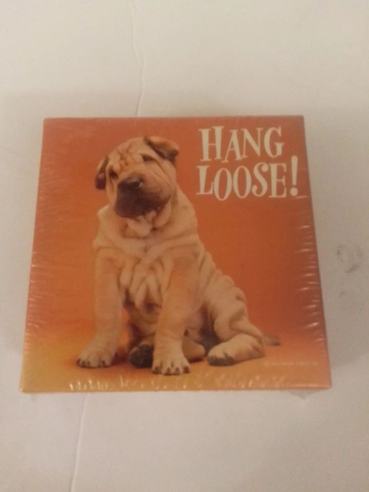 Springbok Mini Jigsaw Puzzle Hang Loose 7" X 7" Ove 70 Pieces Brand New - Image 1 of 1