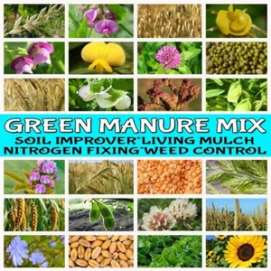 GREEN MANURE SEEDS-MINI MIX-COVER CROP-VEGETABLES-HERBS-FLOWER GARDEN PLANTS - Picture 1 of 21