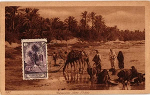 Spain 1929 postcard from Nador Ambulante (2092) - Imagen 1 de 2