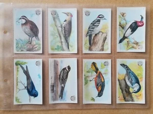 Church & Dwight-Useful Birds..First Series(1918)-Full set of 30-same var. - Picture 1 of 8