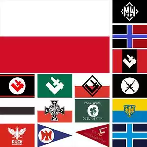Poland Flag Falanga Xportal NSZ Peasant United People's Party RAŚ RN UPR MW - Picture 1 of 22