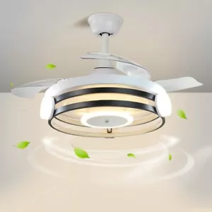 Modern Ceiling Fan with Light Remote LED Timing Dimmable for Bedroom Kitchen - Picture 1 of 9