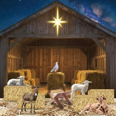 圣诞节圣诞场景装饰套装,6.8 X 4.9 英尺 3D 耶稣诞生稳定场景... — 第 1/4 张图片